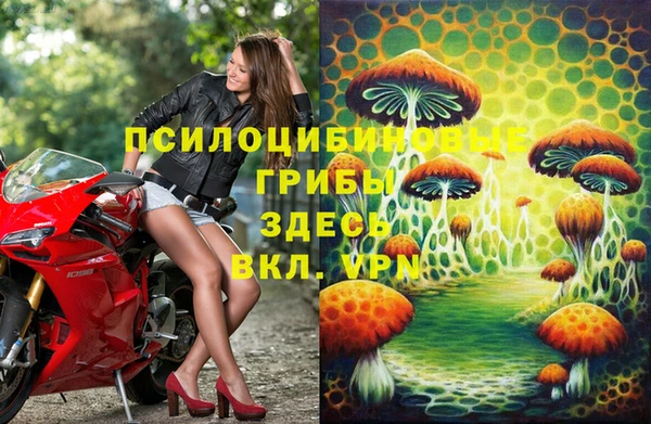 MESCALINE Аркадак