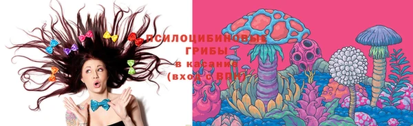 не бодяженный Арсеньев